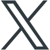 shiffon x