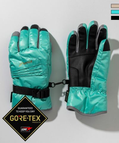 phenix(フェニックス)Phenix GORE Gloves フェニックスゴアグローブ